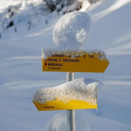 Chalet Loimoarhuette