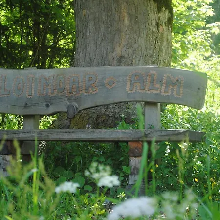 Loimoarhuette * Bischofshofen