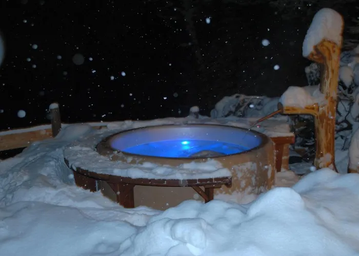 Loimoarhuette Bischofshofen