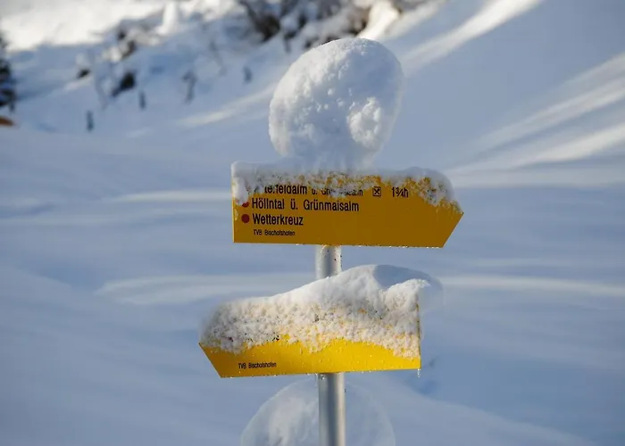 Chalet Loimoarhuette